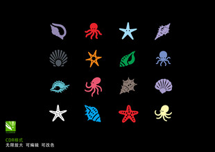 海洋动物背景 海星 章鱼 贝壳