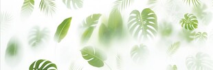 雾气磨砂膜效果绿植贴图