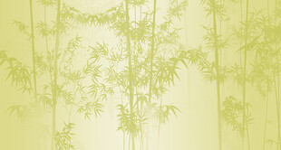 淡雅竹林背景图