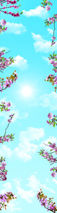 仰视樱花 蓝天白云