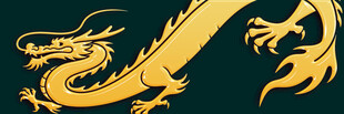 金色祥龙图案