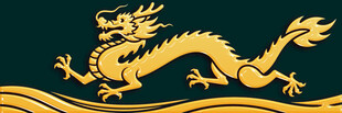 金色祥龙图案