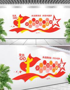 党员风采文化墙