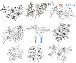 花卉植物黑白线稿图案