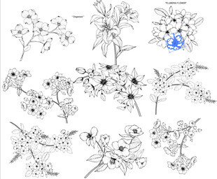 手绘花卉图案设计素材