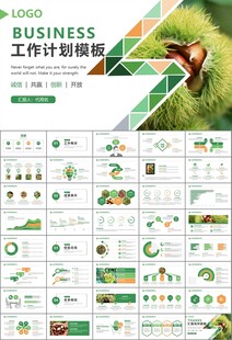 营养美食美味板栗种植宣传PPT