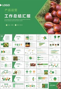 营养美食美味板栗种植宣传PPT