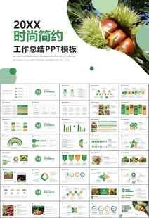 营养美食美味板栗种植宣传PPT