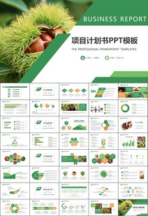 营养美食美味板栗种植宣传PPT