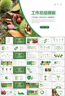 营养美食美味板栗种植宣传PPT