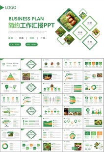 营养美食美味板栗种植宣传PPT