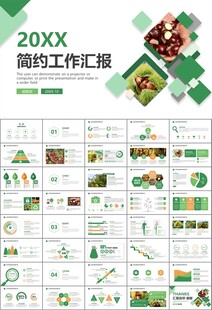 营养美食美味板栗种植宣传PPT