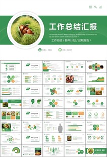 营养美食美味板栗种植宣传PPT