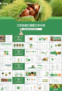 营养美食美味板栗种植宣传PPT