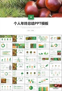 营养美食美味板栗种植宣传PPT