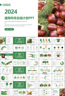 营养美食美味板栗种植宣传PPT