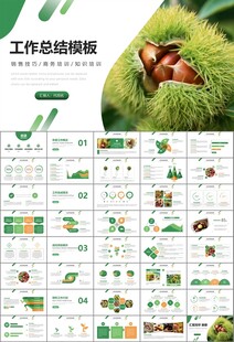 营养美食美味板栗种植宣传PPT