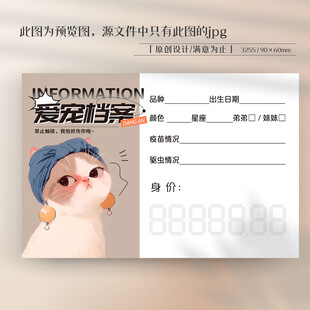 卡通猫咪宠物信息卡片