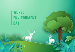 世界环境日绿色自然景象