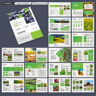农产品宣传册