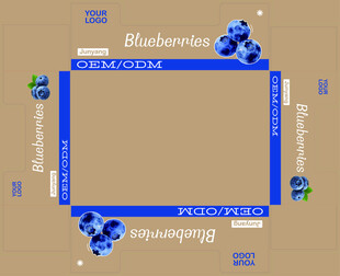 蓝莓水果展示托盘包装