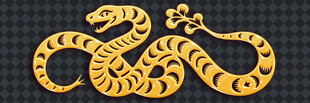 金色盘绕蛇形艺术图案