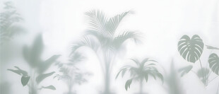 雾气磨砂膜效果绿植贴图