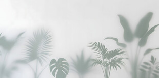 雾气磨砂膜效果绿植贴图