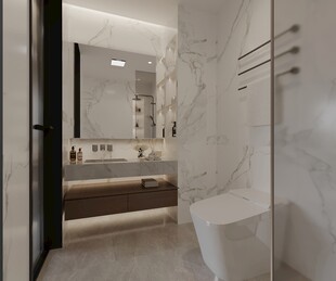 干湿分离卫生间效果图