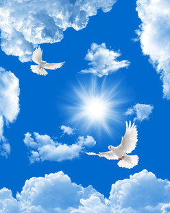 蓝天白云天花软膜