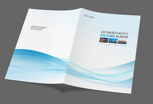  简约蓝色封面设计