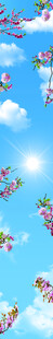 天空 樱花