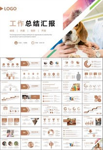 宠物行业医院美容宠物店ppt