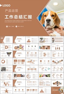 宠物行业医院美容宠物店ppt