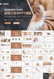 宠物行业医院美容宠物店ppt