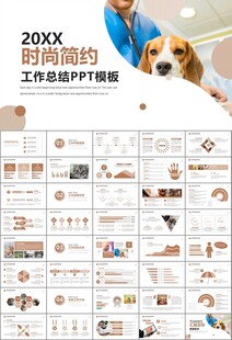 宠物行业医院美容宠物店ppt