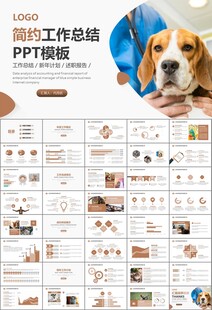 宠物行业医院美容宠物店ppt