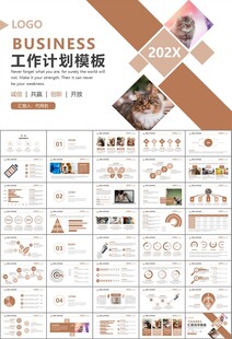 宠物行业医院美容宠物店ppt