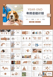 宠物行业医院美容宠物店ppt