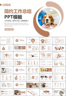 宠物行业医院美容宠物店ppt