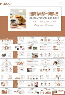 宠物行业医院美容宠物店ppt