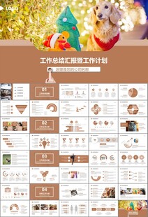 宠物行业医院美容宠物店ppt