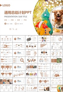 宠物行业医院美容宠物店ppt