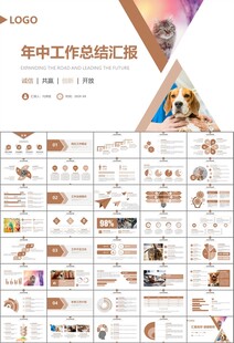 宠物行业医院美容宠物店ppt