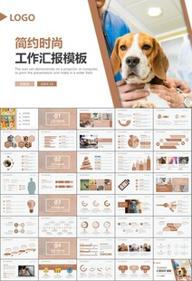 宠物行业医院美容宠物店ppt