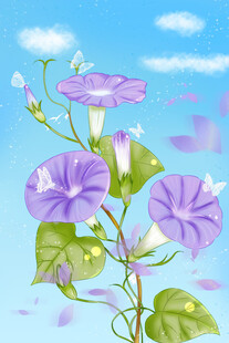 紫色牵牛花插画