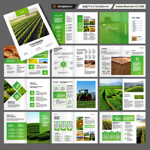 农产品宣传册