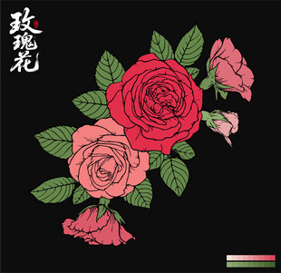 玫瑰花插画