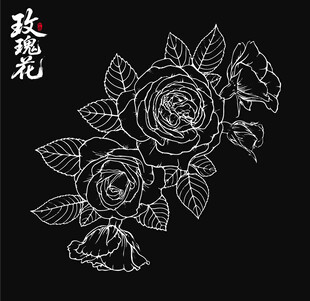 玫瑰花线稿