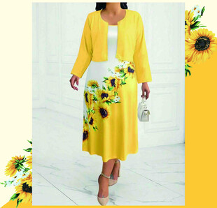 定位花 菊花 向日葵